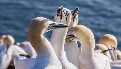 角球防守中吕迪格疑似使用过分力量卡身位，裁判未做判罚